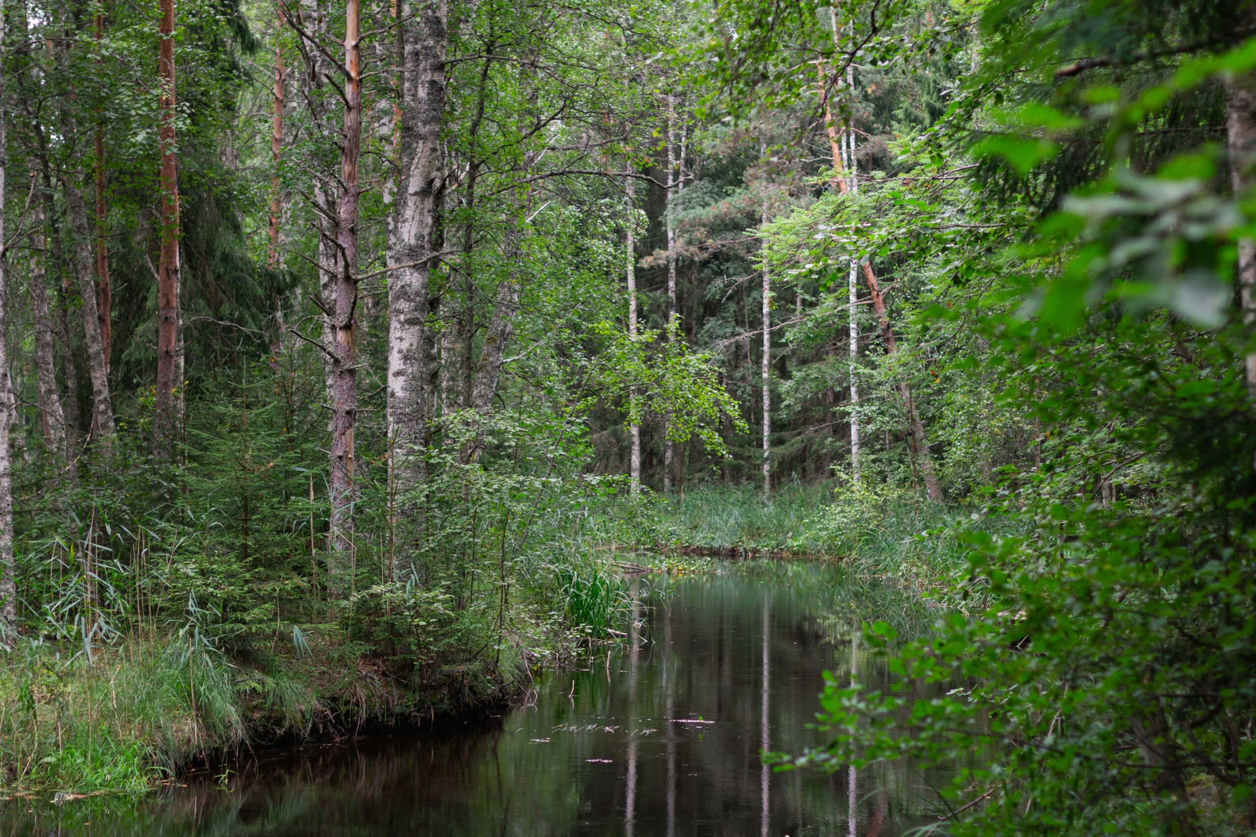 Avaleht - Eesti Keskkonnauuringute Keskus